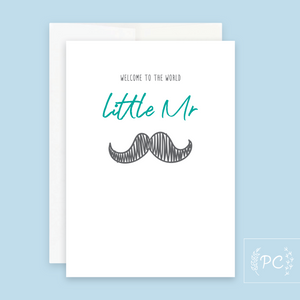 welcome to the world little mr | greeting card