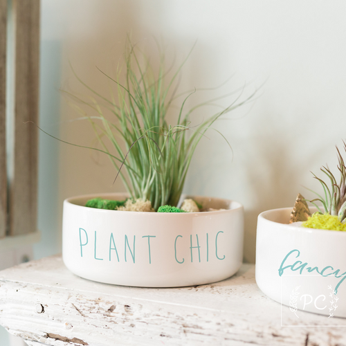 plant chic | planter