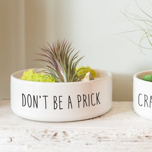 don't be a prick | planter