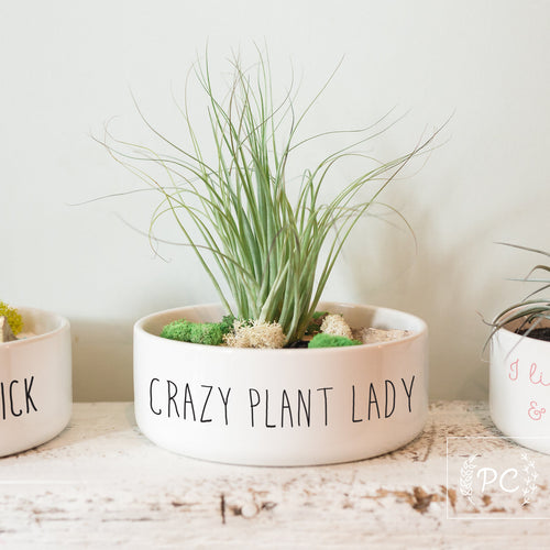 crazy plant lady | planter