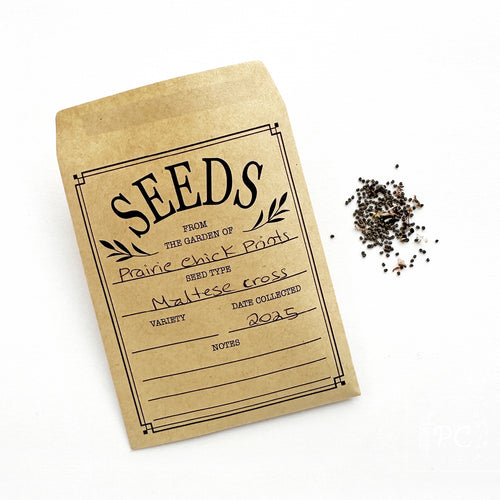 maltese cross | seeds