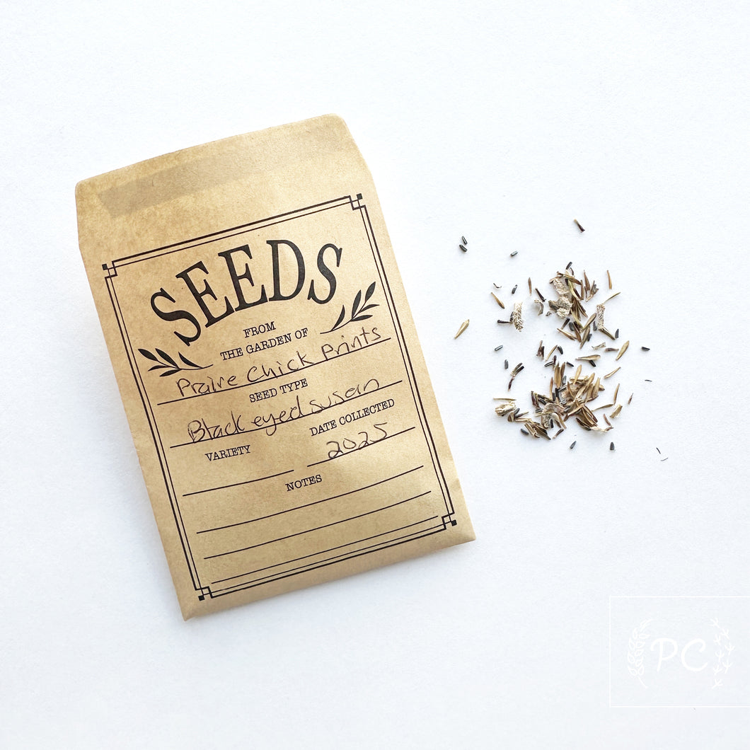 black eyed susan | seeds
