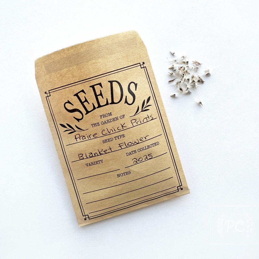 blanket flower | seeds