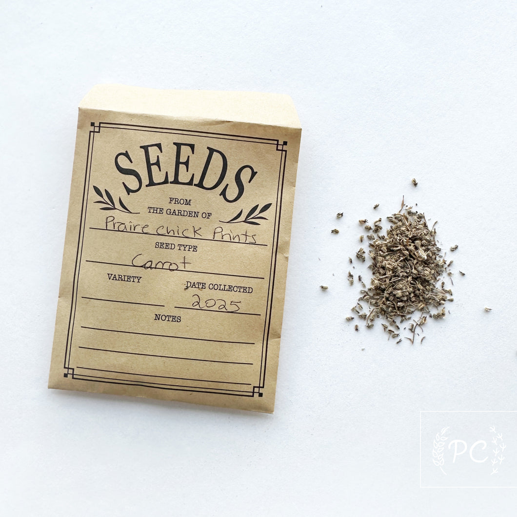 carrot | seeds