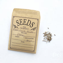 shasta daisy | seeds