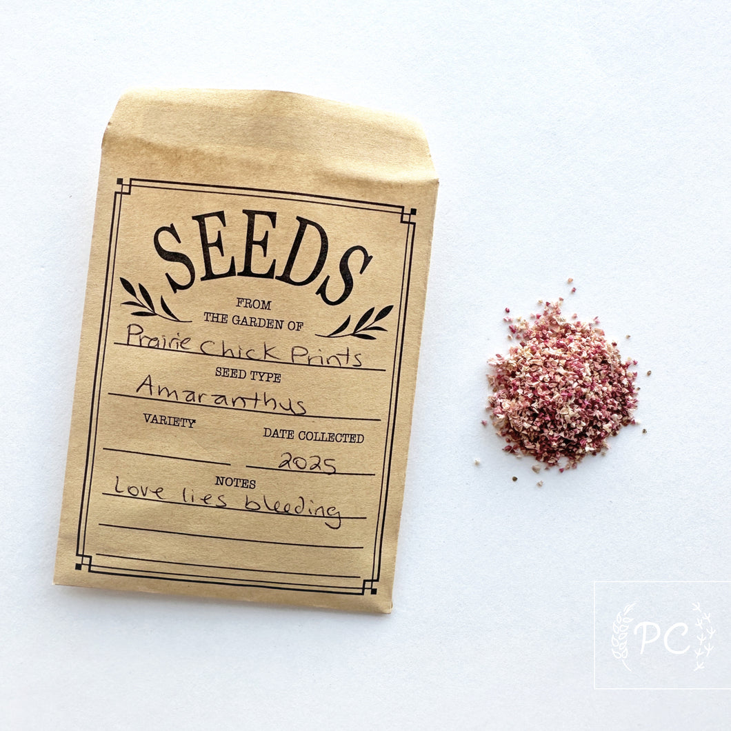 amaranthus | seeds