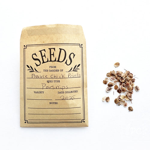 parsnip | seeds