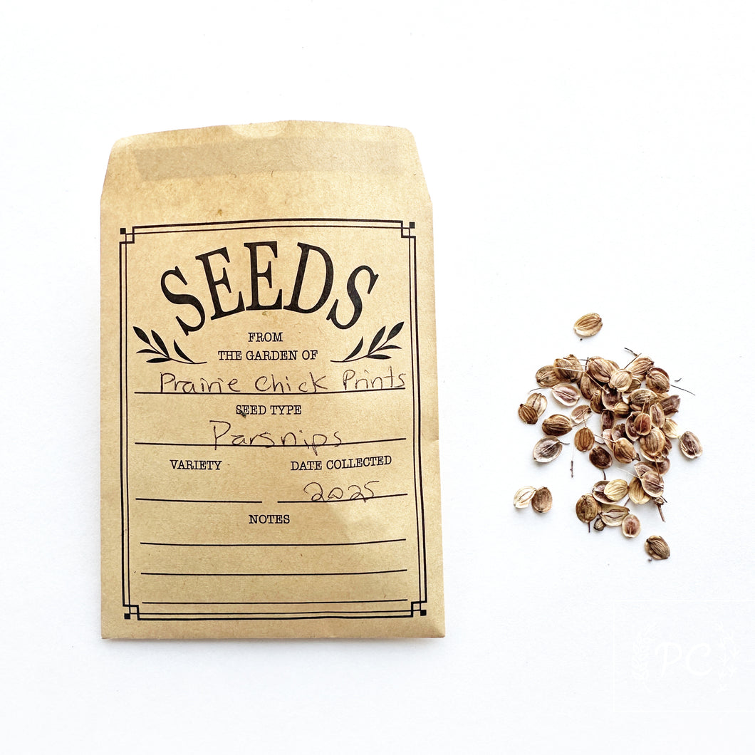 parsnip | seeds